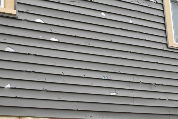 Affordable Siding Repair and Maintenance Services in Loyalhanna, PA